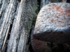DSCF0925