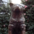 hachiko