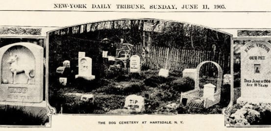 Article about the Hartsdale Pet Cemetery
