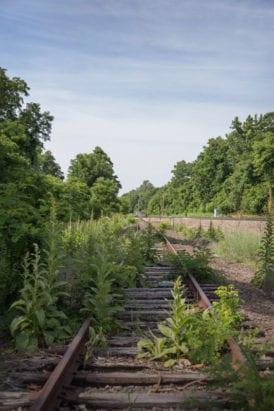 Weeds cover the tracks as the Beacon merges with the Hudson