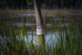 Private swamp